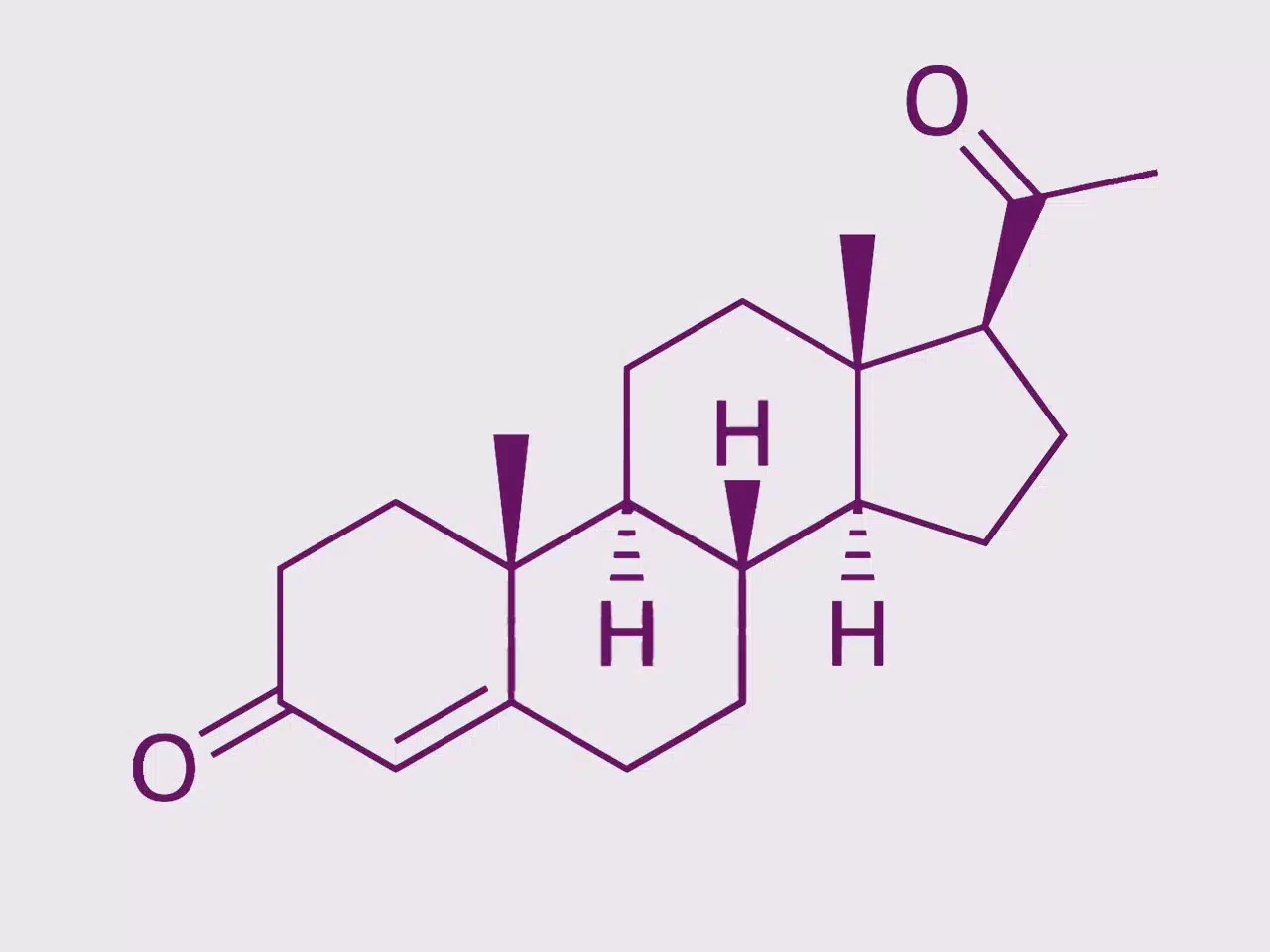 progestérone